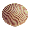 Bouton de meuble 6835/1V