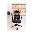 Chaise de bureau ergonomique Percko