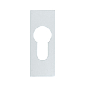 ENTREE CYLINDRE ADHESIVE N-3005 K F1 EN 67X25  ARGENT