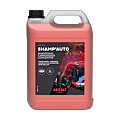 Nettoyant pour carrosserie Shamp'auto photo du produit
