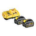 PACK 2 BATTERIES 18V/9AH - 54V/3AH LI-ION AVEC CHARGEUR RAPIDE