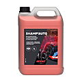 Nettoyant pour carrosserie Shamp'auto