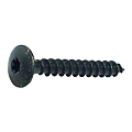 Vis de penture tête ronde large Torx acier Neroplus noir photo du produit