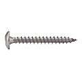Vis de penture tête ronde large Torx inox A2