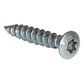 Vis de poteau tête fraisée bombée Torx inox A1