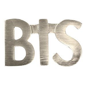 visuel1 N° BIS laiton finition inox