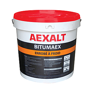 visuel1 Sceau de bitume 