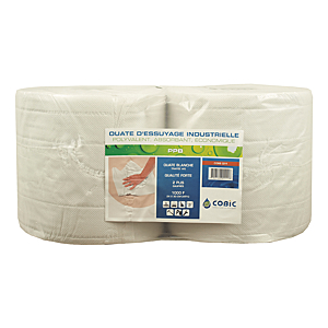 visuel1 Bobine de papier essuie-tout  PPB