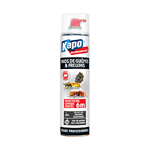 visuel1 Insecticide anti guêpes et frelons