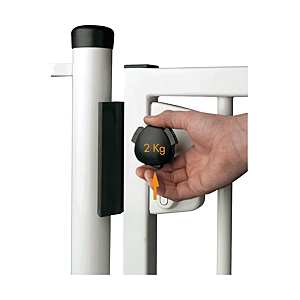 visuel2 Serrure en applique LAKZ P1