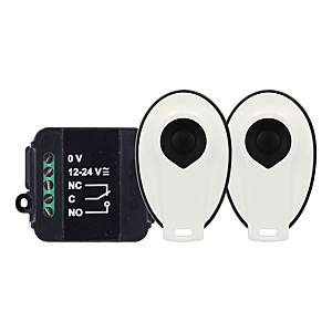 visuel1 Kit récepteur cube et 2 télécommandes