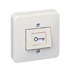 visuel1 Bouton poussoir EXS100K