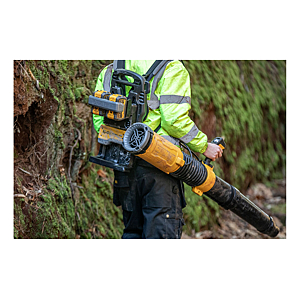 visuel2 Souffleur DCMBBL800N-XJ