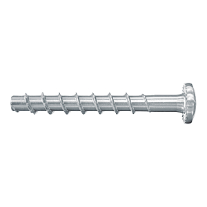 visuel1 Vis béton tête cylindrique bombée Torx acier zingué blanc