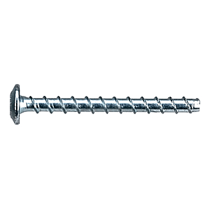 visuel1 Vis béton tête bombée large Torx acier zingué blanc