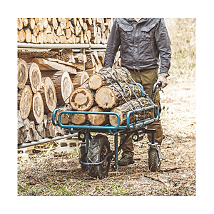 visuel3 Brouette transporteur DCU180Z