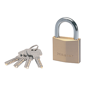 visuel1 Cadenas de haute sûreté à clé 2950EURD