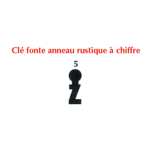 visuel2 Clé pour serrure N-305