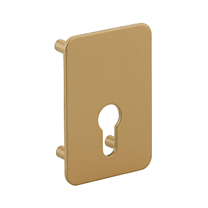 visuel1 Contre-plaque pour verrou Capital