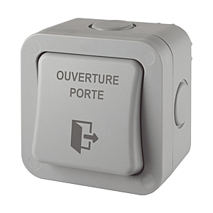 visuel1 Bouton poussoir spécial PMR