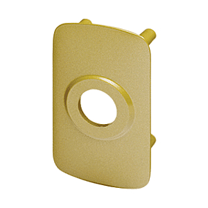 visuel1 Contre-plaque pour verrou Cyclop