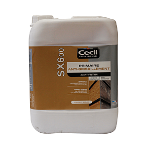 visuel1 Primaire anti-grisaillement SX600