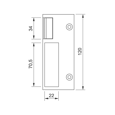 Gâche électrique Série 2S 120 mm photo du produit visuel_1 XL