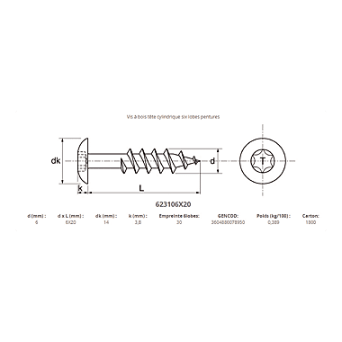 Vis de penture tête ronde large Torx inox A2 photo du produit visuel_1 XL