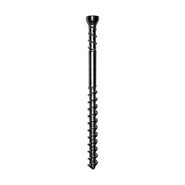 Vis de terrasse tête cylindrique Torx inox photo du produit visuel_1 XL