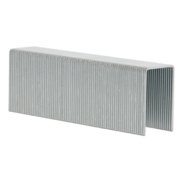 Agrafes W16 photo du produit visuel_1 2XL