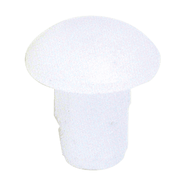 Bouchon lame femelle photo du produit visuel_1 2XL