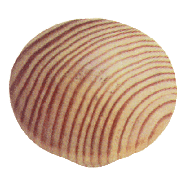 Bouton de meuble 6835/1V photo du produit visuel_1 2XL