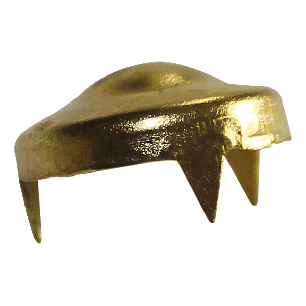 Cache écrou 7910 photo du produit visuel_1 2XL