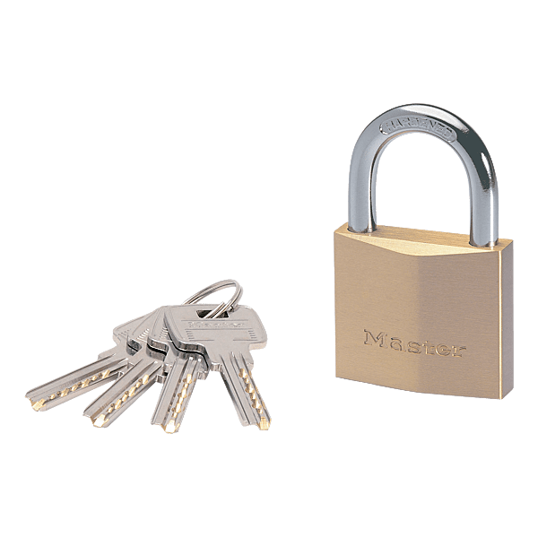 Cadenas de haute sûreté à clé 2950EURD photo du produit visuel_1 2XL