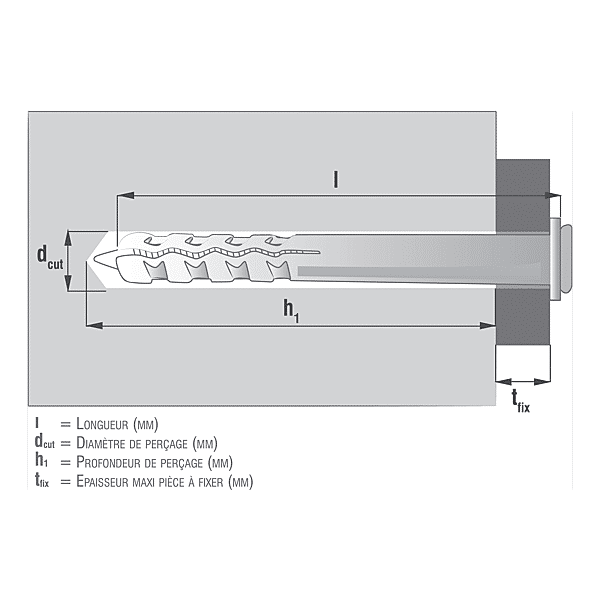 Cheville nylon à frapper YZP collerette plate photo du produit visuel_1 2XL