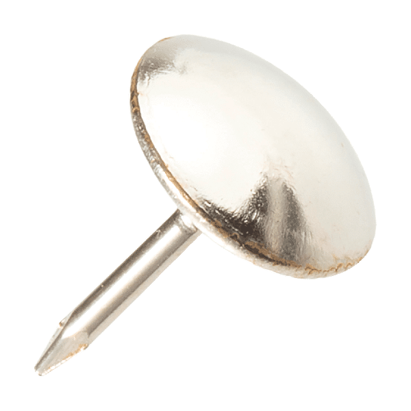 Clous lentille photo du produit visuel_1 2XL