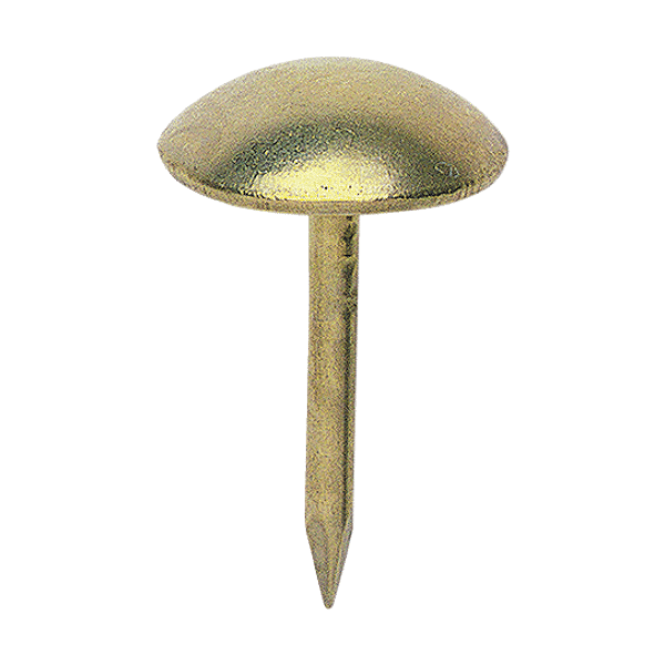 Clous lentille photo du produit visuel_1 2XL