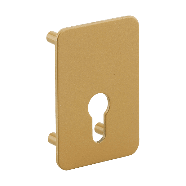 Contre-plaque pour verrou Capital photo du produit visuel_1 2XL