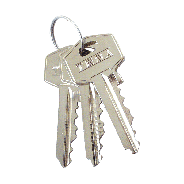 Cylindre TE-5 photo du produit visuel_1 2XL