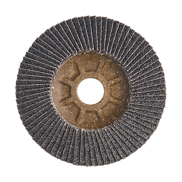 Disque à lamelles bombé Lamtex photo du produit visuel_1 2XL