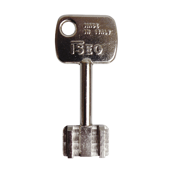 Ébauche de clé Iseo Perfecta photo du produit visuel_1 2XL