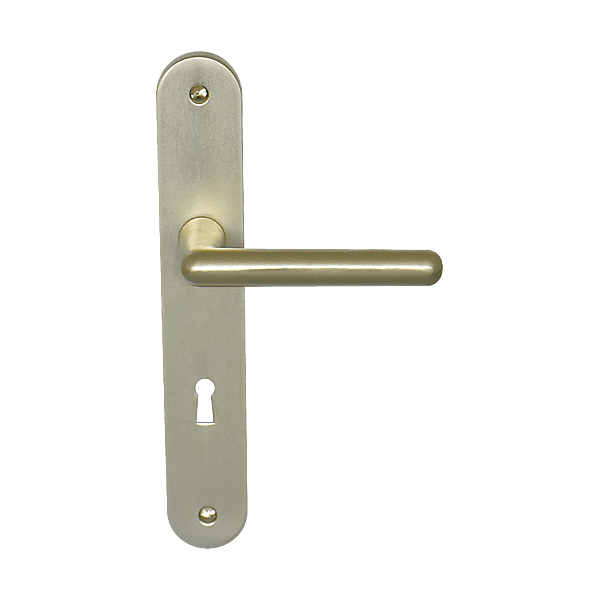 Ensemble Azalée sur grande plaque photo du produit visuel_1 2XL