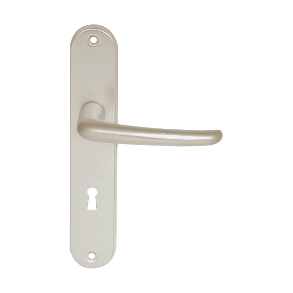 Ensemble Jacinthe sur grande plaque photo du produit visuel_1 2XL