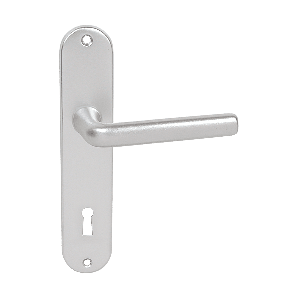 Ensemble Jacinthe sur petite plaque photo du produit visuel_1 2XL