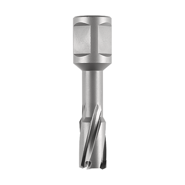 Fraise à pastilles carbure Weldon photo du produit visuel_1 2XL