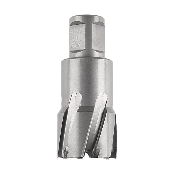 Fraise à pastilles carbure Weldon photo du produit visuel_1 2XL