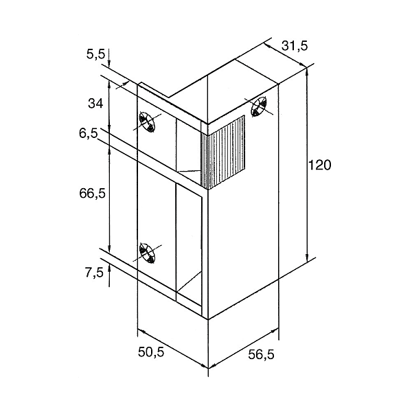 Gâche électrique RV photo du produit visuel_1 2XL