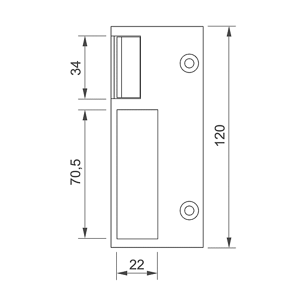 Gâche électrique Série 2S 120 mm photo du produit visuel_1 2XL