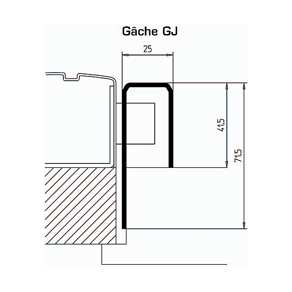Gâche en J pour serrure exclusive photo du produit visuel_1 2XL