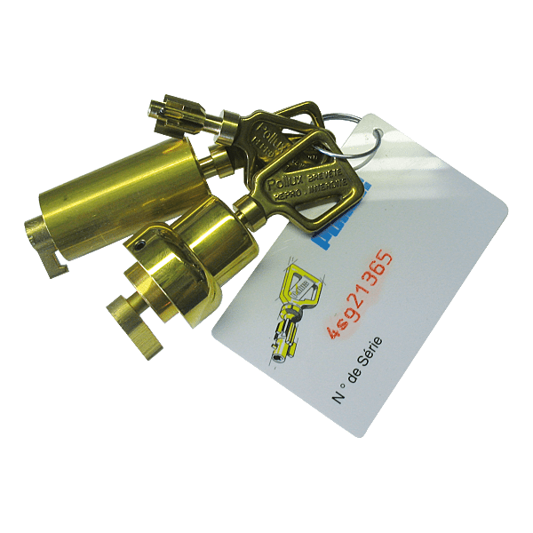 Jeu de cylindres pour serrure Pollux A2P1* photo du produit visuel_1 2XL